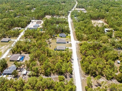 Build your dream home on this 0.46-acre vacant lot in Weeki - photo 11