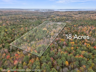 This stunning 18 acre parcel of undisturbed woods is just off - photo 3
