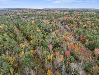 This stunning 18 acre parcel of undisturbed woods is just off - photo 5