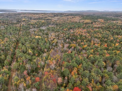 This stunning 18 acre parcel of undisturbed woods is just off - photo 8