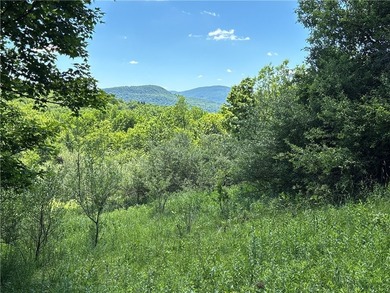 In the heart of the Catskills, this private mountain retreat - photo 18