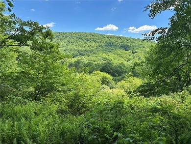 In the heart of the Catskills, this private mountain retreat - photo 22