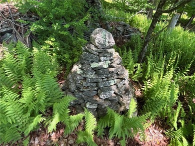 In the heart of the Catskills, this private mountain retreat - photo 23