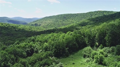 In the heart of the Catskills, this private mountain retreat - photo 25