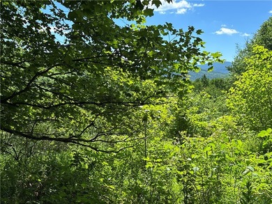 In the heart of the Catskills, this private mountain retreat - photo 27