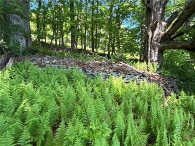 In the heart of the Catskills, this private mountain retreat - photo 28