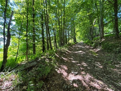 In the heart of the Catskills, this private mountain retreat - photo 30