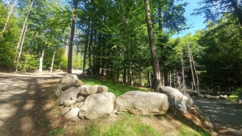 Exceptional Brant Lake Building lot w/Small Private Pond - Lake Acreage Under Contract in Brant Lake, New York