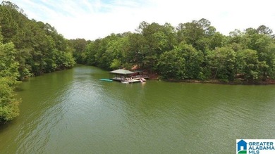 Lake Lot For Sale in Wedowee, Alabama
