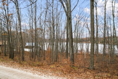 Lake Lot Off Market in Reed City, Michigan