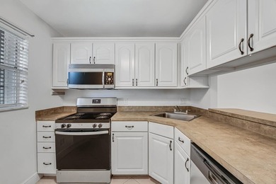 Welcome to this newly renovated, move-in-ready first-floor condo - photo 6