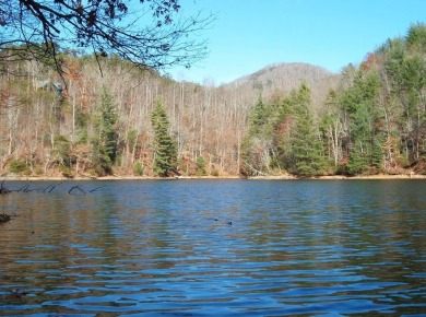 Tuckaseegee River Lot For Sale in Tuckasegee North Carolina