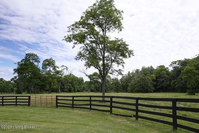 TIME TO ''PONY UP'' IN THE HEART OF HORSE COUNTRY!!!! It just - photo 30
