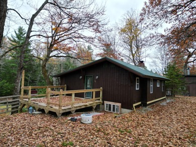 Lake Home For Sale in Howland, Maine