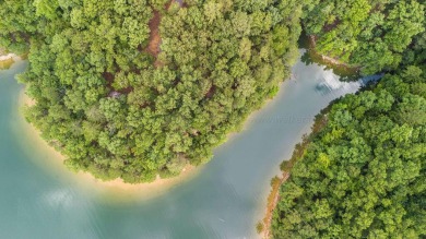 Smith Lake- (Lick Creek) Tucked right along millionaires row - photo 6