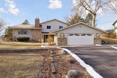 Lake Home For Sale in Independence, Minnesota