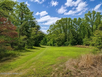 Holmes 200 This 200 ac +/- is located at 157 Eulogy Road - photo 6