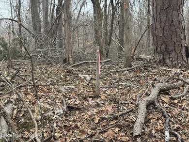 Holmes 200 This 200 ac +/- is located at 157 Eulogy Road - photo 10