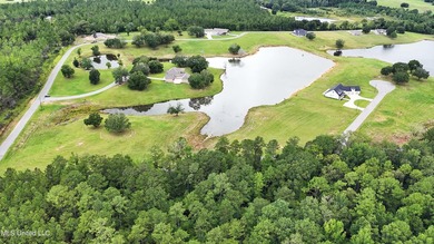 Lake front lots in a beautiful new Subdivision on Highway 63 - photo 13