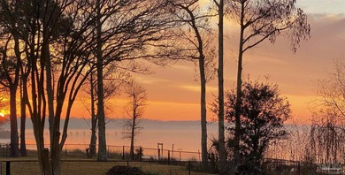 Discover your slice of paradise with this rare .39-acre - photo 17