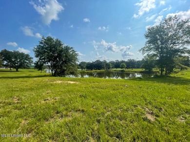 Lake front lots in a beautiful new Subdivision on Highway 63 - photo 29