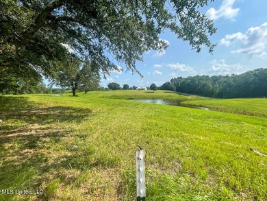 Lake front lots in a beautiful new Subdivision on Highway 63 - photo 40
