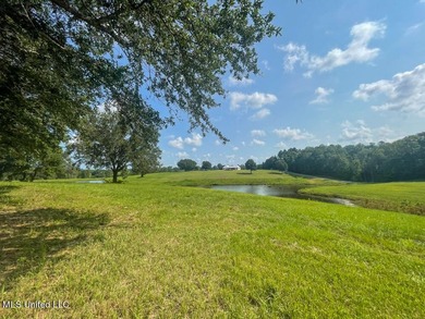 Lake front lots in a beautiful new Subdivision on Highway 63 - photo 42