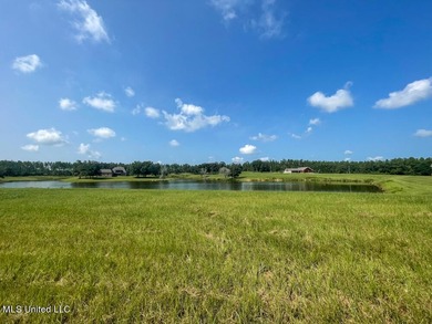 Lake front lots in a beautiful new Subdivision on Highway 63 - photo 52