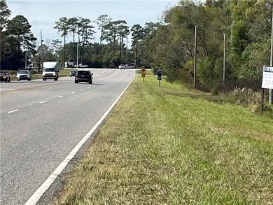5.7 ACRES 450' OF INCREDIBLE EXPOSURE TO FOLEY BEACH EXPRESS! - photo 1