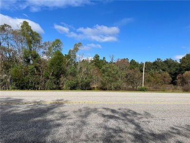 5.7 ACRES 450' OF INCREDIBLE EXPOSURE TO FOLEY BEACH EXPRESS! - photo 2