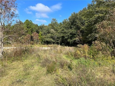 5.7 ACRES 450' OF INCREDIBLE EXPOSURE TO FOLEY BEACH EXPRESS! - photo 3