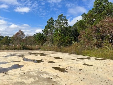 5.7 ACRES 450' OF INCREDIBLE EXPOSURE TO FOLEY BEACH EXPRESS! - photo 4
