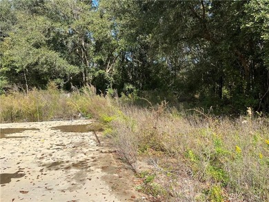 5.7 ACRES 450' OF INCREDIBLE EXPOSURE TO FOLEY BEACH EXPRESS! - photo 5