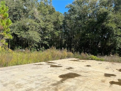 5.7 ACRES 450' OF INCREDIBLE EXPOSURE TO FOLEY BEACH EXPRESS! - photo 7
