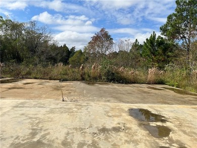 5.7 ACRES 450' OF INCREDIBLE EXPOSURE TO FOLEY BEACH EXPRESS! - photo 8
