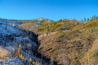 (private lake, pond, creek) Acreage For Sale in Libby Montana