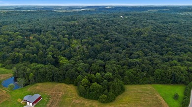 Rare opportunity near Lake Malone! Discover 36 acres of amazing - photo 12