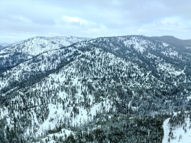 (private lake, pond, creek) Acreage For Sale in Libby Montana