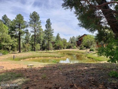 (private lake, pond, creek) Home For Sale in Show Low Arizona