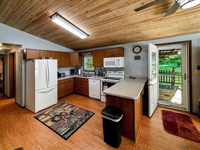 Embrace the ultimate lake life adventure at Indian Lake! - photo 2