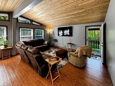 Embrace the ultimate lake life adventure at Indian Lake! - photo 7