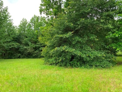 Lake Palestine Lot For Sale in Frankston Texas