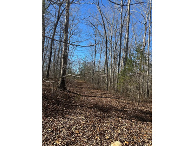 (private lake, pond, creek) Acreage For Sale in Crawford Tennessee