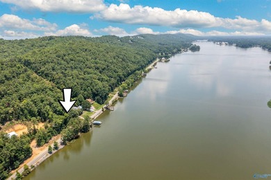 Great price for waterfront property! Main Channel. Enjoy - photo 40