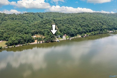 Great price for waterfront property! Main Channel. Enjoy - photo 41