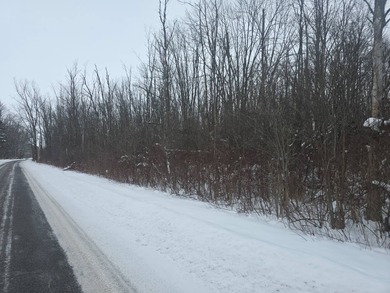 Lake Acreage For Sale in Sullivan, New York