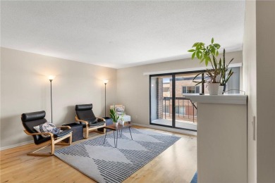 Lake Condo For Sale in Minneapolis, Minnesota