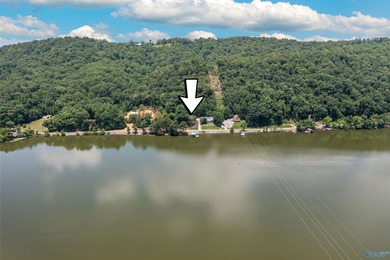 Great price for waterfront property! Main Channel. Enjoy - photo 42