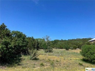 Lake Acreage For Sale in Spring Branch, Texas