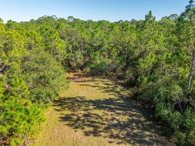 Buck Lake - Osceola County Lot For Sale in ST Cloud Florida